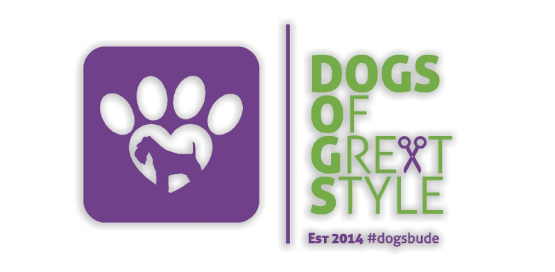 Dogs Of Great Style, dog grooming Bude