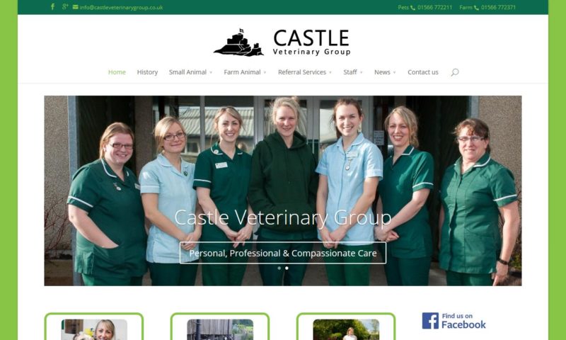 Castle Veterinary Group