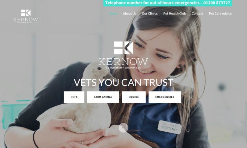 Kernow Veterinary Group – Churchend Vets