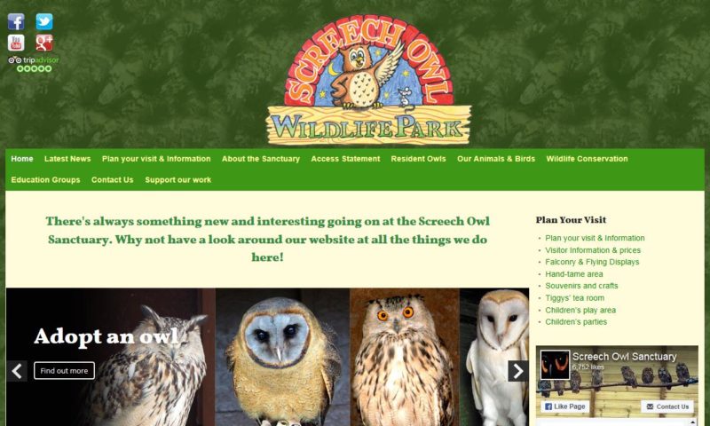 Screech Owl Sanctuary